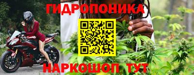 гашик Лесосибирск